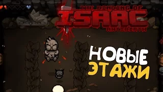 НАШЕЛ НОВЫЕ ЛОКАЦИИ! | ANTIBIRTH