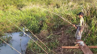 CHEPETEL JA COMEÇOU ARREBENTADO O QUEIXO DOS PIAUS!!!