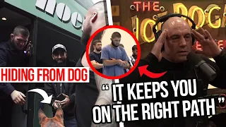 Joe Rogan IMPRESSED by the 5 daily prayers in Islam, HILARIOUS: Khabib Scared of Dogs!