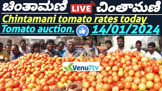 || Chintamani ||today ||14/01/2024 || today tomato rates in Chintamani ||Venu7tv #today #Chintamani