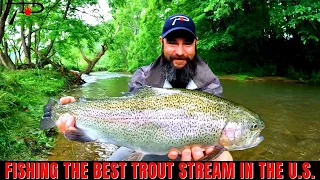 The Best Trout Stream In The US