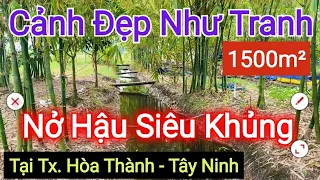 Bán Đất Có Vườn Tre Siêu Đẹp - Tx. Hòa Thành, Tây Ninh - Mua ngay giá rẻ, có sẵn cảnh quan sinh thái