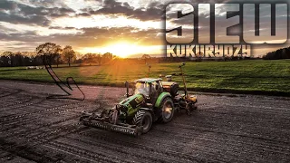 🇵🇱Siew Kukurydzy przy zachodzie słońca㋛︎Deutz Fahr 6155.4㋛︎2023㋛︎Lubuskie㋛︎