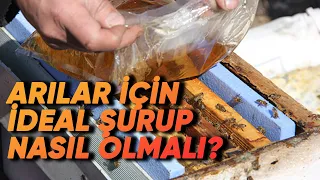 Arılar İçin İdeal Şurup Oranı Ne Olmalıdır? Ve Şuruplarla İlgili Tüm Sorular