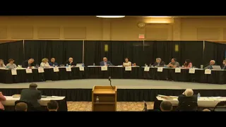 Rapid City Special City Council 03-10-2020