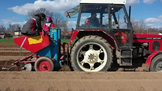 SÁZENÍ BRAMBOR 2021//ZETOR//NEW HOLLAND//