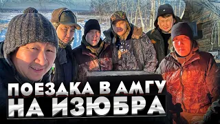 Поездка в Амгу. На изюбра!!!