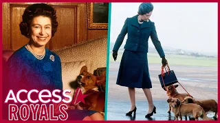 What Happens To Queen Elizabeth's Dogs After Her Death