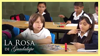 Gilberto le corta el cabello a su compañera | Buena cosecha | La Rosa de Guadalupe