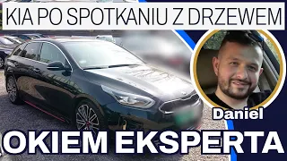 Kia Proceed 1.6 T-GDI 2019 rok 204KM 50000km 105000zł - Kia po spotkaniu z  drzewem