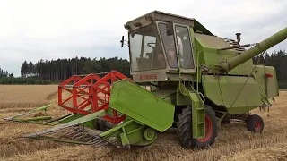 Claas Mercator 50 | Getreideernte | Grain harvest | Graan dorsen in Goldhausen