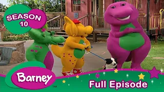 Barney | FULL Episode | Pets | Season 10