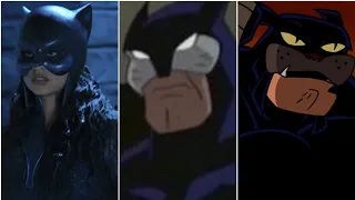 Evolution of "Wildcat" in Cartoons, Shows and movies. (DC Comics) (2005-2021)