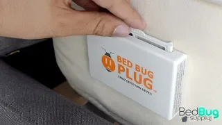 Bed Bug Plug Active Bed Bug Monitor Review