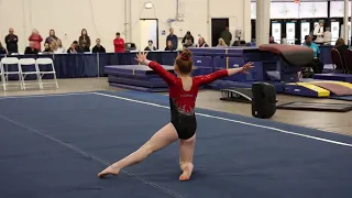 Hannah Shaw Floor California Classic 2023 Wildfire Gymnast Level 6