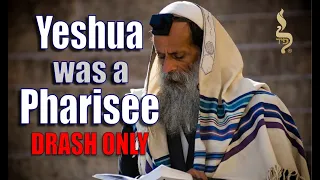 Yeshua Was A Pharisee (Drash Only)!! #facts #history