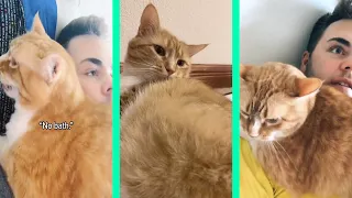 Cooter the talking kitty | Cooter the cat part 1