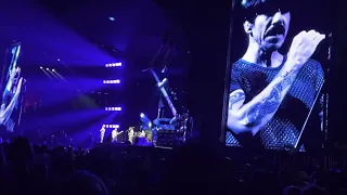 Red Hot Chili Peppers- Hard To Concentrate Live at Minute Maid Park in Houston, Tx 05-25-2023