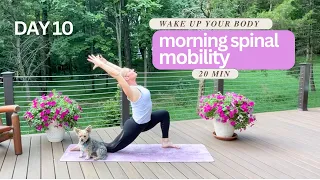 DAY 10 - 20 Minute Spinal Mobility Sequence - Stretch and Mobility Challenge