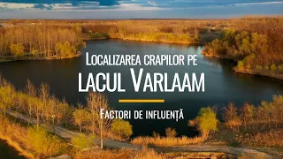 Localizarea crapilor pe lacul Varlaam - factori de influență