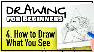 DRAWING FOR BEGINNERS Part 4: How to Draw What You See