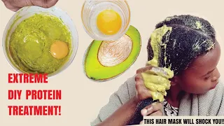 Extreme Deep Conditioning Protein Treatment for Rapid Hair Growth | Egg and Avocado Hair Mask