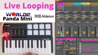 Live Looping with Worlde Panda Mini and Ableton Lite 10 | Suragana Kirilliye