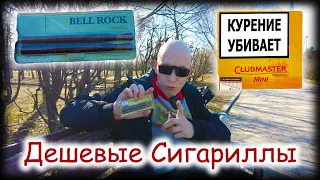 Обзор дешевых сигарилл / BELL ROCK TIP 2 NATURAL и Clubmaster mini sumatra