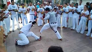 Roda de Capoeira no Marco Zero Recife - Ginga Brasil.