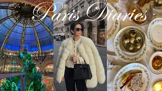 PARIS DIARIES | exploring Paris with my brother, Paris restaurant recs, & meeting a viewer!