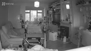 Camera Captures Ghost of Dead Cat