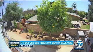 Teen fends off massive mama bear and cubs in Southern California backyard | ABC7