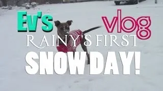 Rainy's First Snowday! - Evynne Hollens