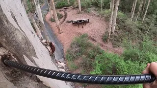 THE CRAZIEST THING WE'VE DONE!!! Gloucester Tree Climb- Pemberton WA