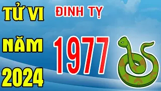 Tử Vi Tuổi Đinh Tỵ 1977 Năm 2024 Giáp Thìn