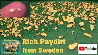 Goldwaschen in Deutschland ( 53 ) Gold Paydirt aus Schweden - Goldschürfen - Goldsuche