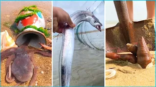 Asian Talented Fisherman Catching Seafood’s 😍 Tik Tok China 😍 Amazing Catching Sea Creatures #9