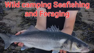 Wild Camping Seafishing And Foraging  North Welsh Manai Strait Anglessy