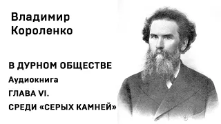 Владимир Короленко В ДУРНОМ ОБЩЕСТВЕ Аудиокнига ГЛАВА VI  СРЕДИ «СЕРЫХ КАМНЕЙ» Слушать Онлайн