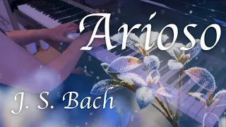 Bach - Arioso from Harpsichord Concerto No. 5 in F Minor, BWV 1056: II. Largo (Arr. Cortot)