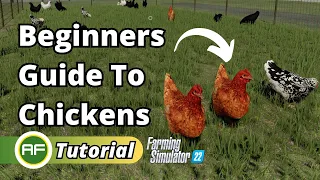 Beginners Guide To Chickens Everything You Need To Know! - Farming Simulator 22
