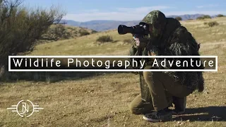 WILDLIFE PHOTOGRAPHY ADVENTURE | Panoche Hills and Horned Larks