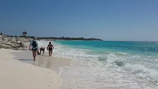 CUBA CAYO LARGO STARFISH