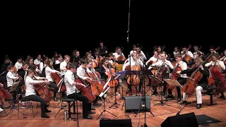 "I See Fire" Celloversum 2017 RMS Cello Big Band