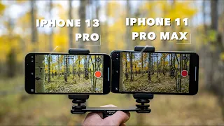 iPhone 13 Pro vs 11 Pro Max worth the upgrade? | Camera Photo and Video Comparison