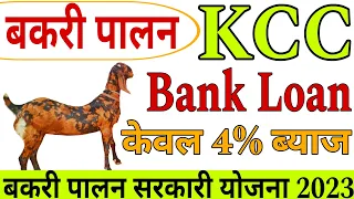 Bakari Palan Business KCC Loan 2023 👍बकरी पालन किसान क्रेडिट कार्ड #goat #kcc #loan #bank #nlm