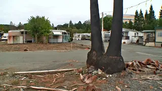 Santa Rosa Trailer Park Residents Whose Homes Survived Wildfire in Insurance Limbo