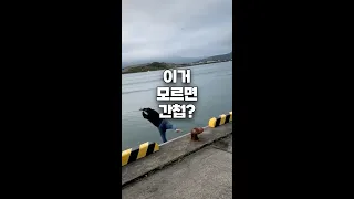 이거 모르면 간첩?