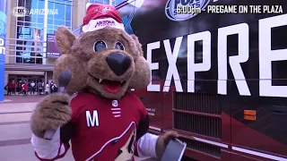 Arizona Coyotes mascot "Howler" - A Day in the Life