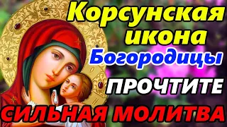 Самая СИЛЬНАЯ МОЛИТВА Пресвятой Богородице в праздник Иконы Божией Матери Корсунская